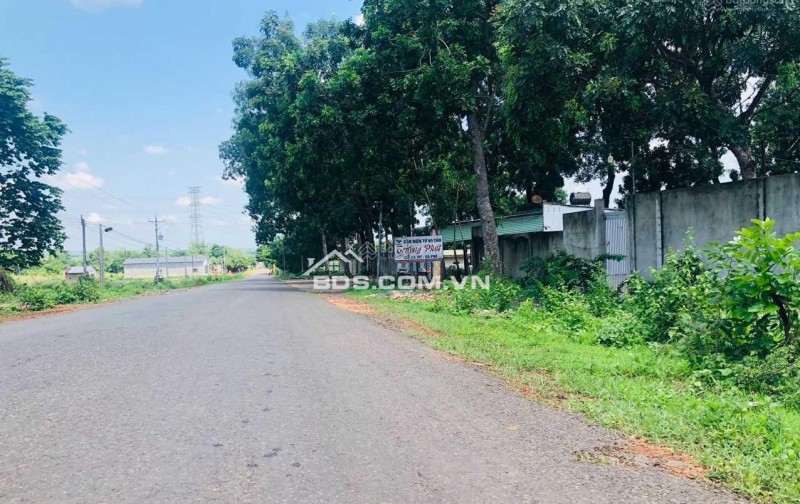 Cần sang nhượng gấp lô mặt tiền Lý Thái Tổ, xã Long Tân, huyện Nhơn Trạch, tỉnh Đồng Nai.